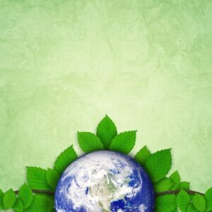 Green & Earthy Attar Oil