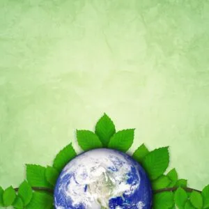 Green & Earthy Attar Oil